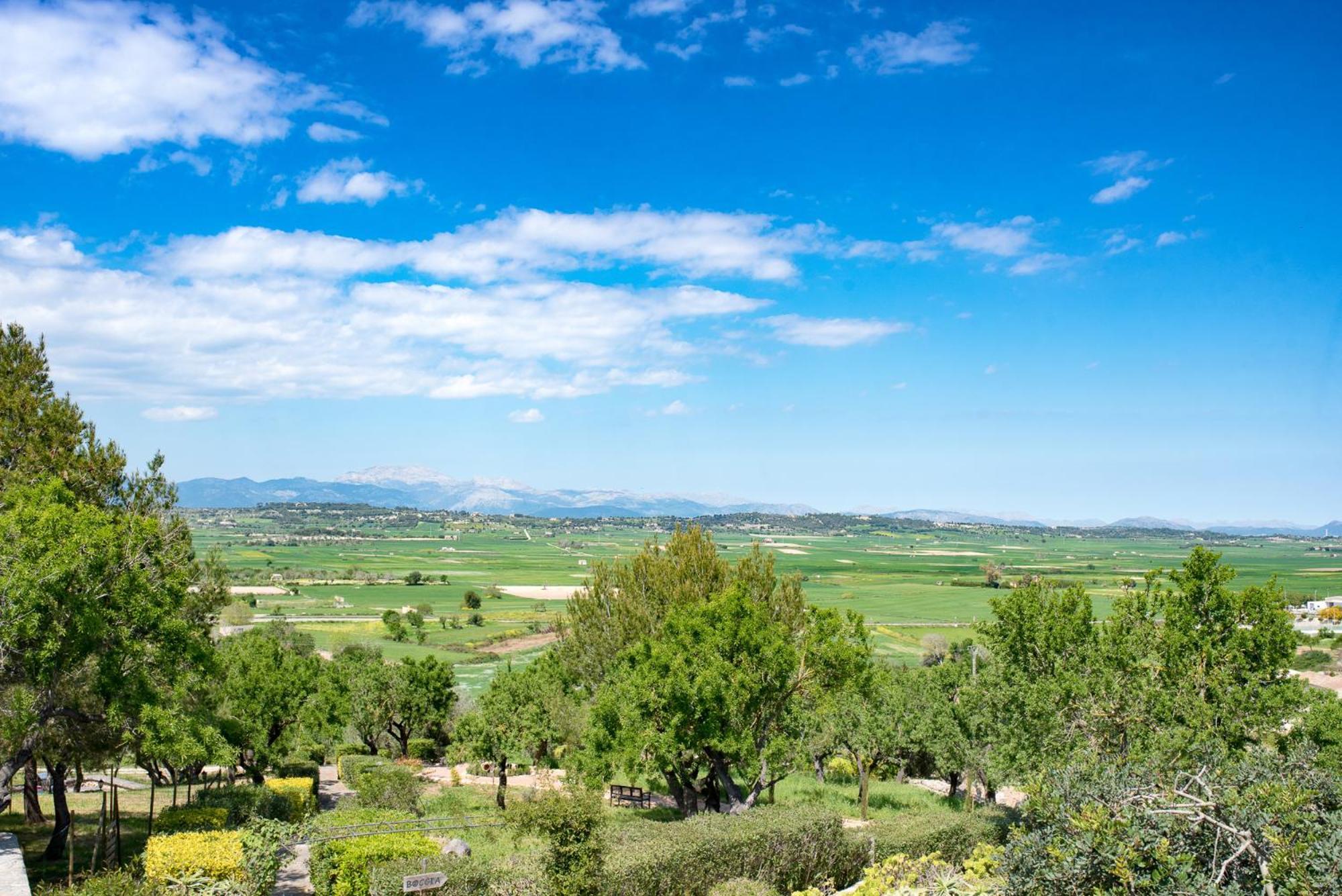 فندق Casa Font I Roig María de la Salud المظهر الخارجي الصورة